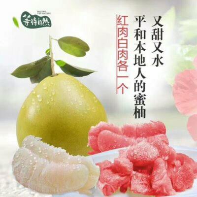 湖北宜昌秭歸縣柚子 沙田柚批發市場探析，0.60元/斤的價格優勢與品質保障